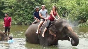 Traveler on an Elephant